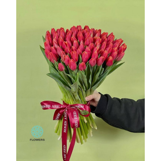 51 red tulips